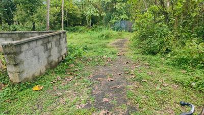 Image of 3484 Sq.ft Residential Plot / Land for sale in Angamaly, Kochi for Rs. 2600000