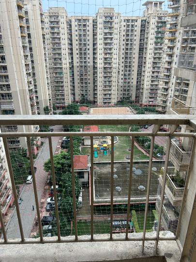 Sam Palm Olympia Main Image 1