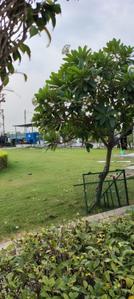 Image of 1210 Sq.ft Residential Plot / Land for sale in Alaknanda Enclave, Jaitikhera, Lucknow for Rs. 4600000