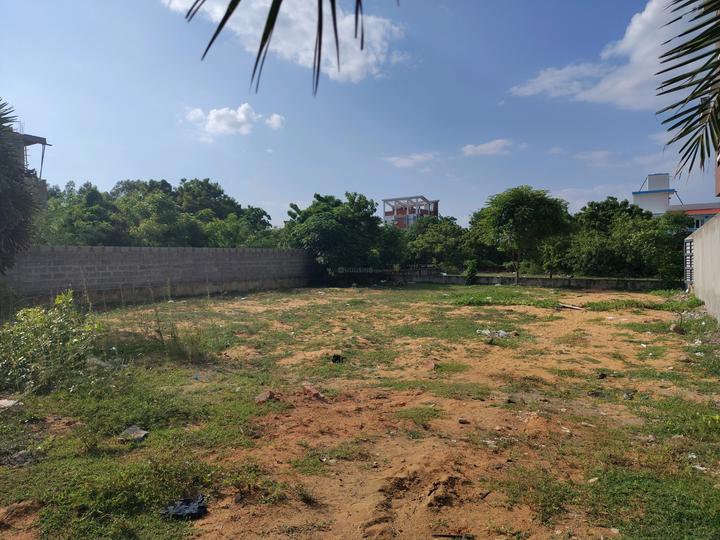 Kovalam Main Image 1