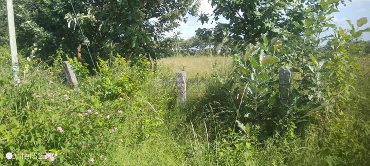 NADA Prabhu Kempegowda layout Main Image 1