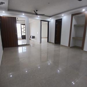 Hall Image of 2500 Sq.ft 3 BHK Builder Floor for sale in Sector 23 Gurgaon for Rs. 29000000