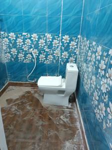 Bathroom Image of 800 Sq.ft 2 BHK Independent House for sale in Tronica City Ghaziabad for Rs. 4500000