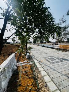 Balaji greens 2nd Plot View 3