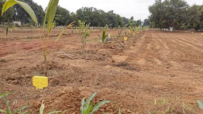 Image of 1197 Sq.ft Residential Plot / Land for sale in Mylavaram, Vijayawada for Rs. 700000