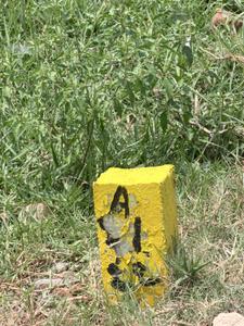 Image of 650 Sq.ft Residential Plot / Land for sale in Poondi, Chennai for Rs. 345000