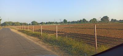 Image of 9100 Sq.ft Residential Plot / Land for sale in Viramgam, Ahmedabad for Rs. 6500000