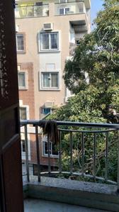 Balcony Image of 450 Sq.ft 1 BHK Builder Floor for rent in DDA Akshardham Apartments, Sector 19 Dwarka New Delhi for Rs. 19000