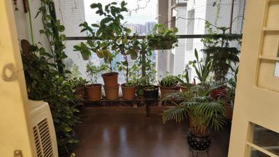 Balcony Image of 1050 Sq.ft 2.5 BHK Apartment / Flat for sale in Krishna Aeropolis Phase II, Lohegaon Pune for Rs. 9500000