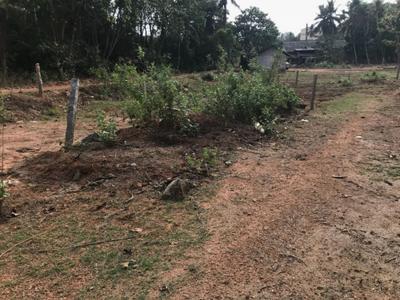 Image of 11330 Sq.ft Residential Plot / Land for sale in Bantwal, Mangalore for Rs. 3500000