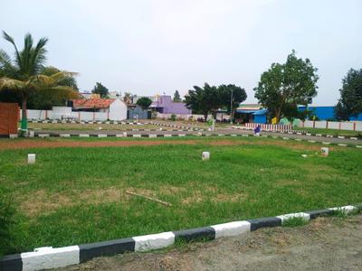 Angadu Plot View 2