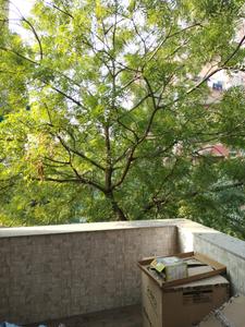 Bedroom One Image of 1800 Sq.ft 3 BHK Apartment / Flat for sale in CGHS Dream Apartments, Sector 22 Dwarka New Delhi for Rs. 29500000