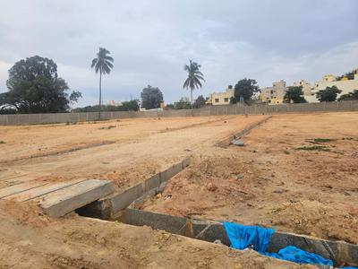 Rayasandra Electranic city Plot View 3