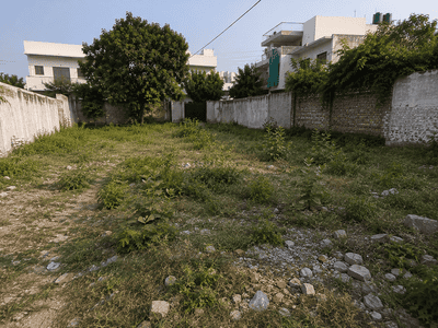 Rajinder Singh Market Plot View 1