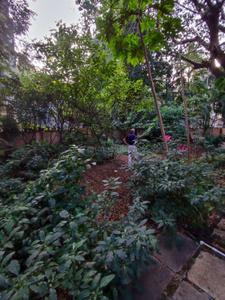 Image of 9800 Sq.ft Residential Plot / Land for sale in Shivaji Nagar, Pune for Rs. 220000000