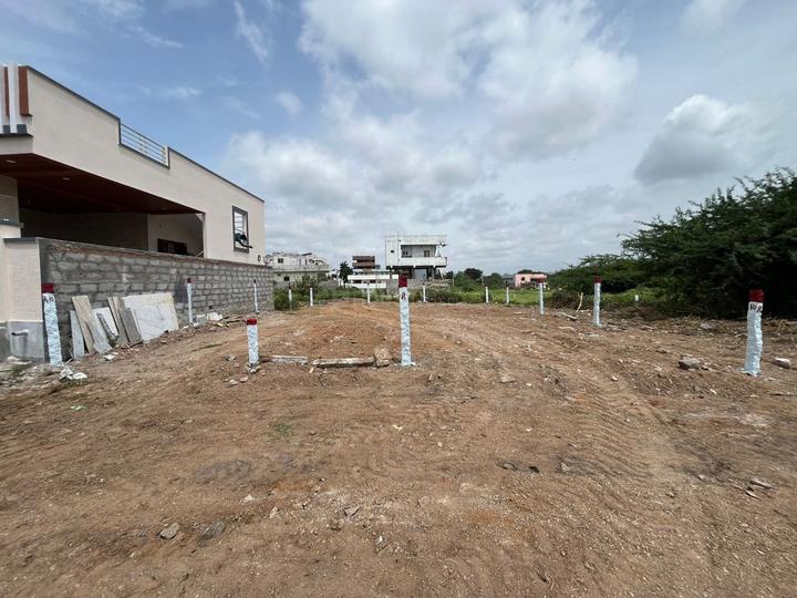 Information Colony Main Image 1