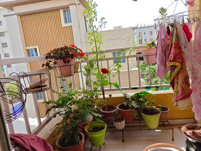 Balcony Image of 920 Sq.ft 2 BHK Apartment / Flat for sale in Sai Casalino Towers, Handewadi Pune for Rs. 5000000