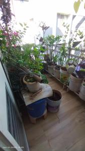 Balcony Image of 1600 Sq.ft 3 BHK Apartment / Flat for sale in Pratibha Height, Ravet Pune for Rs. 10000000