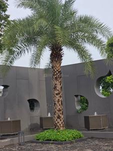 Image of 710 Sq.ft Residential Plot / Land for sale in Golden Residency, Boria Kal, Raipur for Rs. 1313000