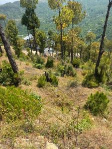 Image of 4320 Sq.ft Residential Plot / Land for sale in Mukteshwar, Nainital for Rs. 3500000
