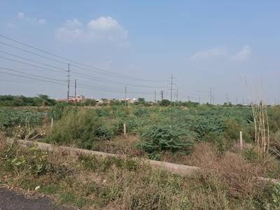 Sector 145 Plot View 1