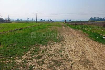Image of 1350 Sq.ft Residential Plot / Land for sale in ASM Shree Jaswant Garden, Sector 14, Panchkula for Rs. 10932100