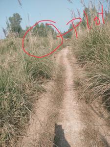 Image of 3000 Sq.ft Residential Plot / Land for sale in Suman Nagar, Haridwar for Rs. 1900000