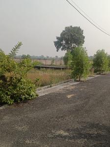 Image of 1250 Sq.ft Residential Plot / Land for sale in Bodri, Bilaspur for Rs. 1500000