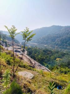 Image of 1800 Sq.ft Residential Plot / Land for sale in Thano, Dehradun for Rs. 5000000