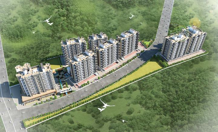 Mohammed Wadi Main Image 1