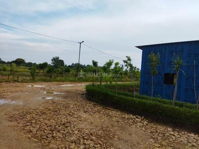Image of 1000 Sq.ft Residential Plot / Land for sale in Sherghati, Gaya for Rs. 1100000