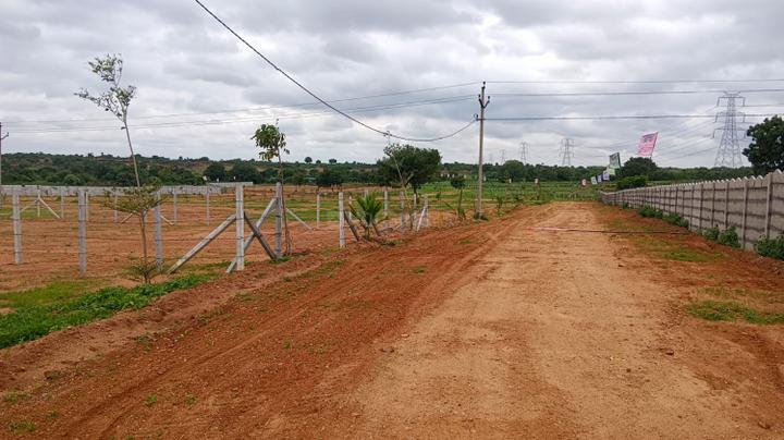 Tirumala Colony Main Image 1
