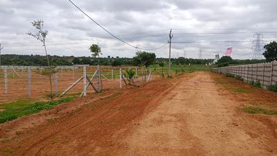 Tirumala Colony Plot View 1