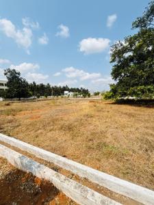 Image of 2088 Sq.ft Residential Plot / Land for sale in Airport City, Rajahmundry for Rs. 3940000
