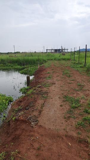 Tetelia Main Image 1