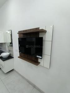 Hall Image of 1400 Sq.ft 2 BHK Independent House for rent in Sector 32A Ludhiana for Rs. 28000