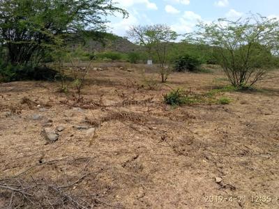 Image of 2436 Sq.ft Residential Plot / Land for sale in Mahabalipuram, Chennai for Rs. 2436000