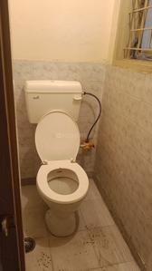 Bathroom Image of 900 Sq.ft 1 BHK Apartment / Flat for rent in CGEWHO Kendriya Vihar 2, Sector 82 Noida for Rs. 17000