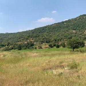 Image of 11000 Sq.ft Residential Plot / Land for sale in Kikvi, Pune for Rs. 1919000