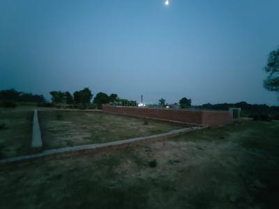 Sindhora Plot View 3