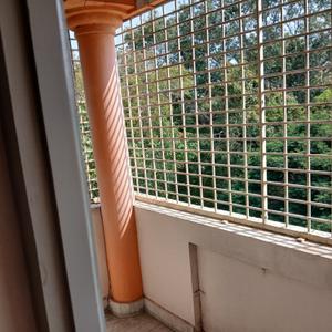 Balcony Image of 1000 Sq.ft 2 BHK Apartment / Flat for rent in Sarojini Devi Layout Tirupathi for Rs. 14000