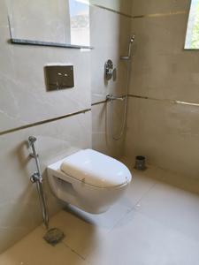 Common Bathroom Image of 2174 Sq.ft 3 BHK Apartment / Flat for sale in Ireo The Grand Arch, Sector 58 Gurgaon for Rs. 52000000