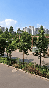 Image of 1290 Sq.ft 3 BHK Apartment / Flat for rent in Brigade Orchards, Devanahalli, Bengaluru for Rs. 35000