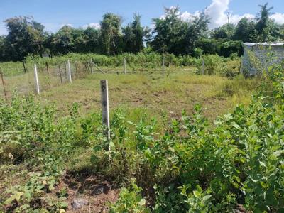 Image of 1958 Sq.ft Residential Plot / Land for sale in Tamjai Nagar, Satara for Rs. 4351000