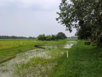 Golden city 2 plot Plot View 2