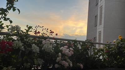 Balcony Image of 2356 Sq.ft 3.5 BHK Apartment / Flat for rent in L And T Raintree Boulevard, Sahakara Nagar Bengaluru for Rs. 130000