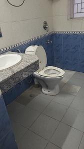 Image of 1500 Sq.ft 3 BHK Builder Floor for sale in Today Homes Blossoms 2, Sector 51, Gurgaon for Rs. 24500000