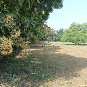 Image of 540 Sq.ft Residential Plot / Land for sale in Maruti Kunj, Gurgaon for Rs. 2520000