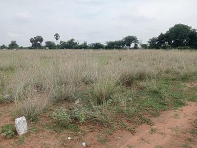 Image of 1200 Sq.ft Residential Plot / Land for sale in Keeranur, Pudukkottai for Rs. 600000