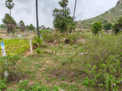Image of 1800 Sq.ft Residential Plot / Land for sale in Mazidpur, Hyderabad for Rs. 1400000